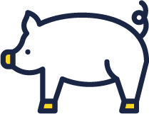 Assurance animal cochon Gan Assurances